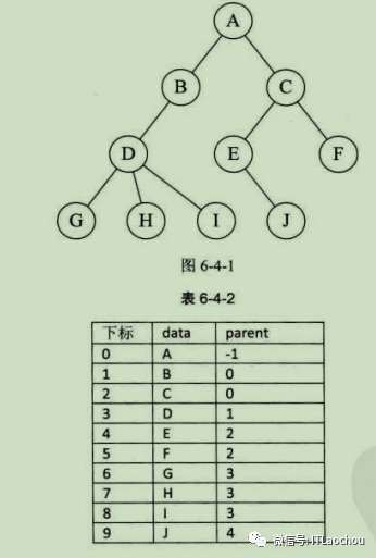 数据结构之初识树