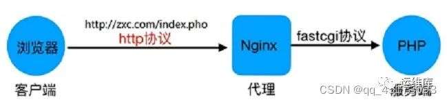 04-Nginx搭建流行架构LNMP