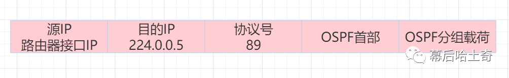 二十五、网络层篇-路由选择协议三剑客：OSPF协议