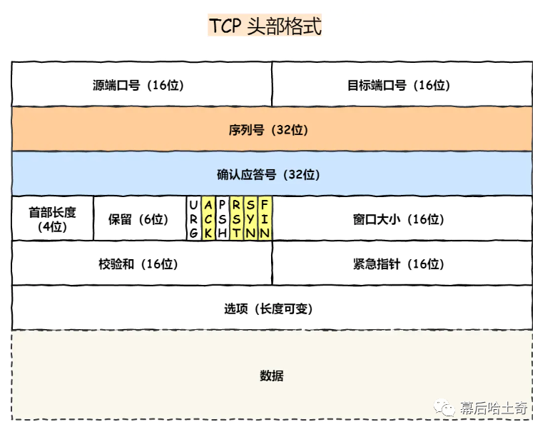 三十三、传输层篇-既生瑜何生亮：UDP和TCP的对比