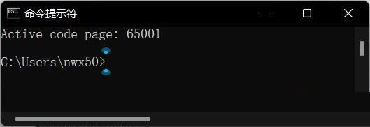 Win11命令窗口中文乱码怎么办？Win11命令窗口中文乱码的解决方法