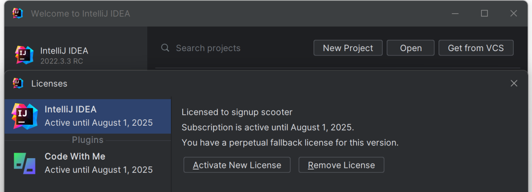 IntelliJ IDEA最新2022.3.3版安装与激活