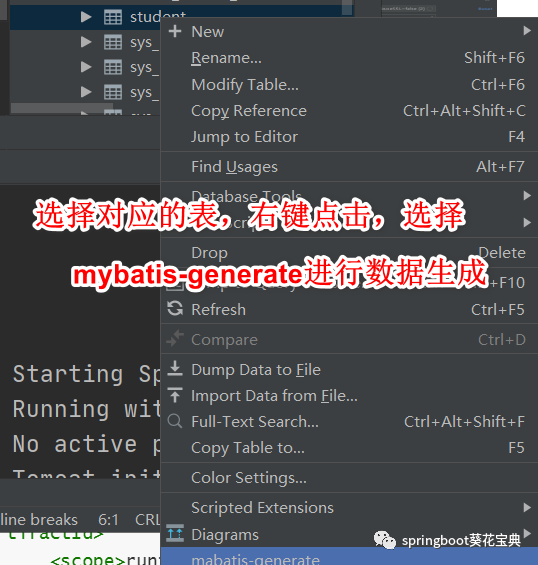 SpringBoot-20-Mybatis代码生成