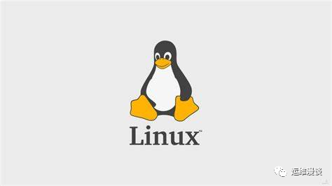 Linux初级运维工程师必须掌握的命令，快速收藏！