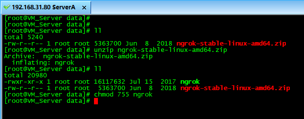 利用ngrok实现Linux服务器 SSH&Web服务的内网穿透