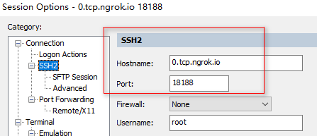 利用ngrok实现Linux服务器 SSH&Web服务的内网穿透