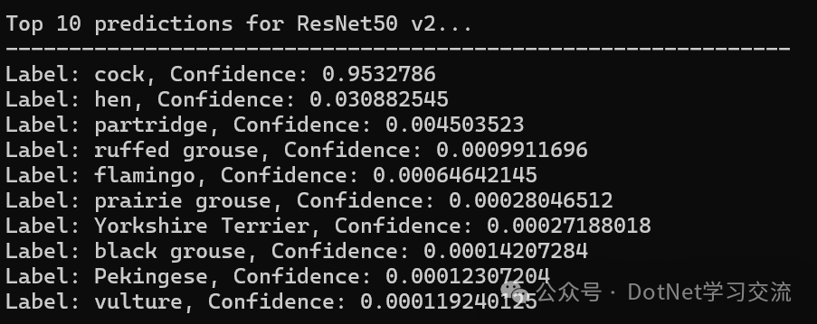 ONNX Runtime入门示例：在C#中使用ResNet50v2进行图像识别